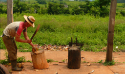 campesino cortando leña