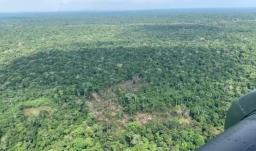 La ofensiva, autorizada por el presidente Petro, busca debilitar el poder militar y narcotraficante de las disidencias comandadas por alias Mordisco en el sur del país. 