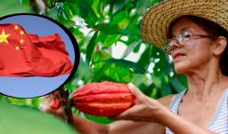 China abre sus puertas al agro colombiano en la VIII Exposición Internacional de Importaciones