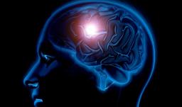 Cerebro. / Foto: Freepik.