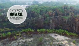 COP30 en Brasil. / Fotos: AFP.