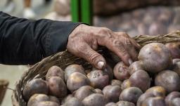 Inflación de noviembre desciende a 5,30% impulsada por caída en precios de alimentos