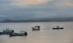 Primera denuncia formal ante organismo internacional por ejecuciones extrajudiciales en el Caribe