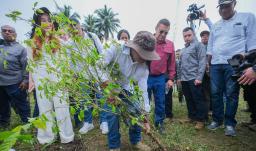 Sustitución de cultivos ilícitos alcanza 26 mil hectáreas en Colombia