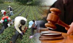 Jurisdicción agraria. / Foto: Senado.