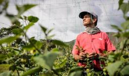 Empleo en Colombia. / Foto: Radio Nacional de Colombia.