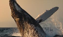 Turismo en Colombia. / Foto: Colombia Travel.