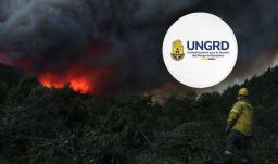 Incendios forestales en Argentina. / Foto: UNGRD y AFP.