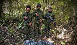 Ejército destruyó 43 explosivos en zona rural de Rovira, Tolima.
