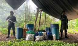 Colombia desarticula 827 de laboratorios de coca en frontera con Ecuador