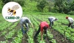 ICARRD+20. / Foto: FAO.