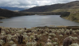 lago en el páramo de Sumapaz