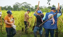 Sustitución voluntaria: la carta que se jugará Petro con Trump.