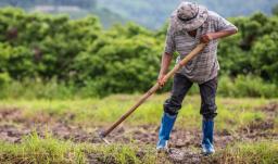 Gobierno presenta cifras históricas en entrega de tierras, producción alimentaria y reducción de pobreza rural
