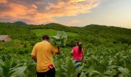 Agencia Nacional de Tierras recupera 427 hectáreas en Antioquia