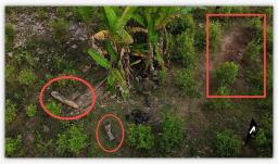 Bomba hallada en territorio colombiano habría rebotado desde Ecuador.