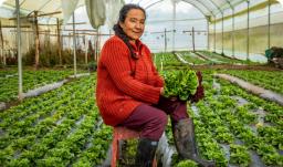 Incremento del presupuesto agropecuario llega a 139%