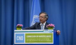 Petro pide al mundo apoyo para sustitución voluntaria de la coca.