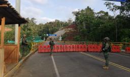 Caen los cultivos de coca en la frontera con Ecuador