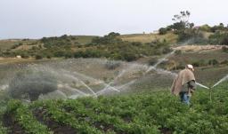imagen de aspersión de agua en un cultivo en Boyacá
