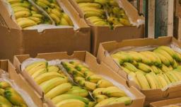 Exportaciones en febrero. / Foto: MinAgricultura.