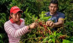 Pobreza multidimensional. / Foto: MinAgricultura.