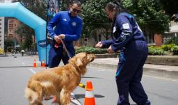 Las ciclovías de Bogotá contarán con nuevas estaciones para mascotas y sus cuidadores, con actividades de bienestar, recreación y nutrición animal disponibles desde mayo y hasta final de año.