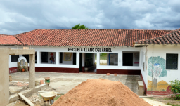 primer plano de una escuela rural
