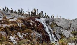 Protección ambiental: Gobierno destacó reducción histórica