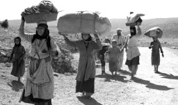 La misión clandestina que salvó más de 30 millones de archivos de la historia palestina en medio del genocidio