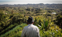 campesino mayor de espaldas, mirando hacia el campo en el horizonte