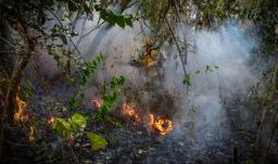 Colombia en alerta por incendios: 114 municipios bajo amenaza