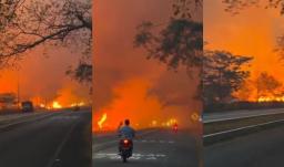 Incendios forestales en Tolima dejan cerca de 20 mil hectáreas afectadas