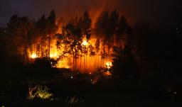 Colombia mantiene la alerta por los incendios forestales.