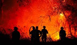 Incendios en Tolima no dan tregua: el corregimiento  de Gualanday concentra la emergencia