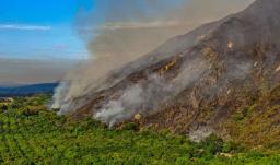 Más de $9.000 millones y ayudas para el campo: así será la recuperación del Tolima tras los incendios forestales