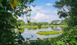 Valle del Cauca suma 2.580 hectáreas a su red de áreas protegidas