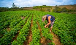 Emergencia económica por El Niño: alistan congelamiento de deudas por $55 billones para el agro