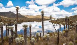 En los Andes, El Niño seca el agua de la que depende el 70 % de los colombianos