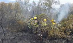 Incendio en el cerro de San Marcos está casi controlado, según confirmó la UNGRD