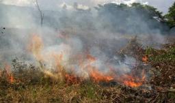 UNGRD activa plan nacional para combatir incendios forestales en 18 departamentos