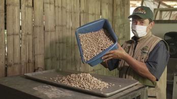 'Mejor colombiano', la primera feria de agricultura familiar, campesina y comunitaria impulsada por MinAgricultura 