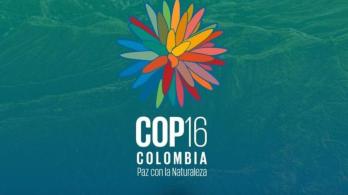 Refuerzan seguridad en la COP16 en Cali. / Foto: X COP16 Colombia.