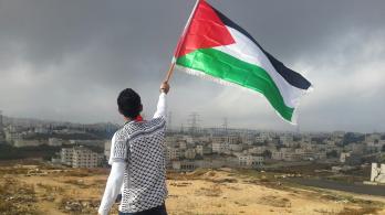 Joven ondea la bandera palestina. 