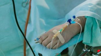 Primer humano contagiado de gripe aviar H5N2 no murió por el virus