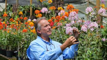 Daniel Piedrahita y sus orquídeas