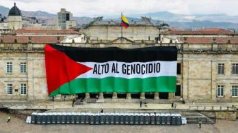 Bandera de Palestina en el Congreso. / Foto: X María José Pizarro.