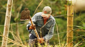 Pobreza monetaria en zonas rurales se redujo en un 4,7%, un avance significativo en Colombia