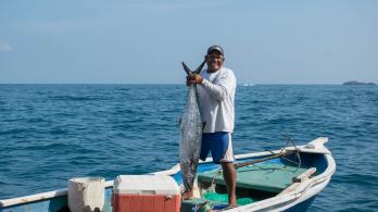 pescador