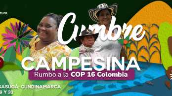 Cumbre Campesina